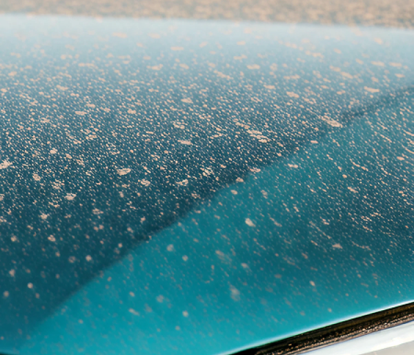 After Renue - gleaming car exterior